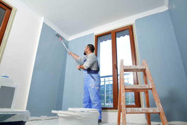 Best Drywall Removal and Disposal  in Maquoketa, IA