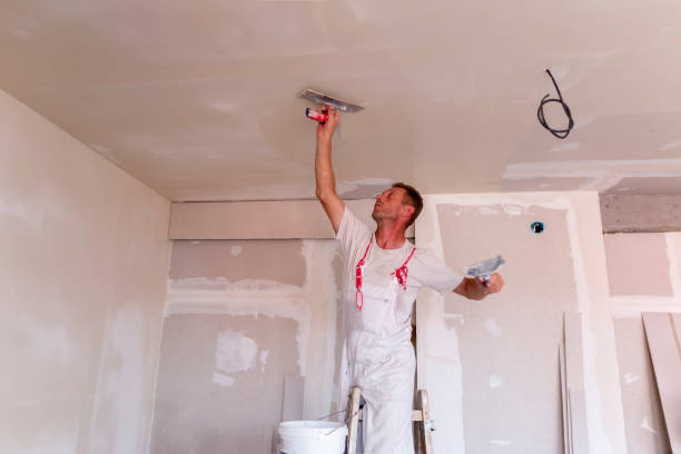  Maquoketa, IA Dry wall and painting Pros